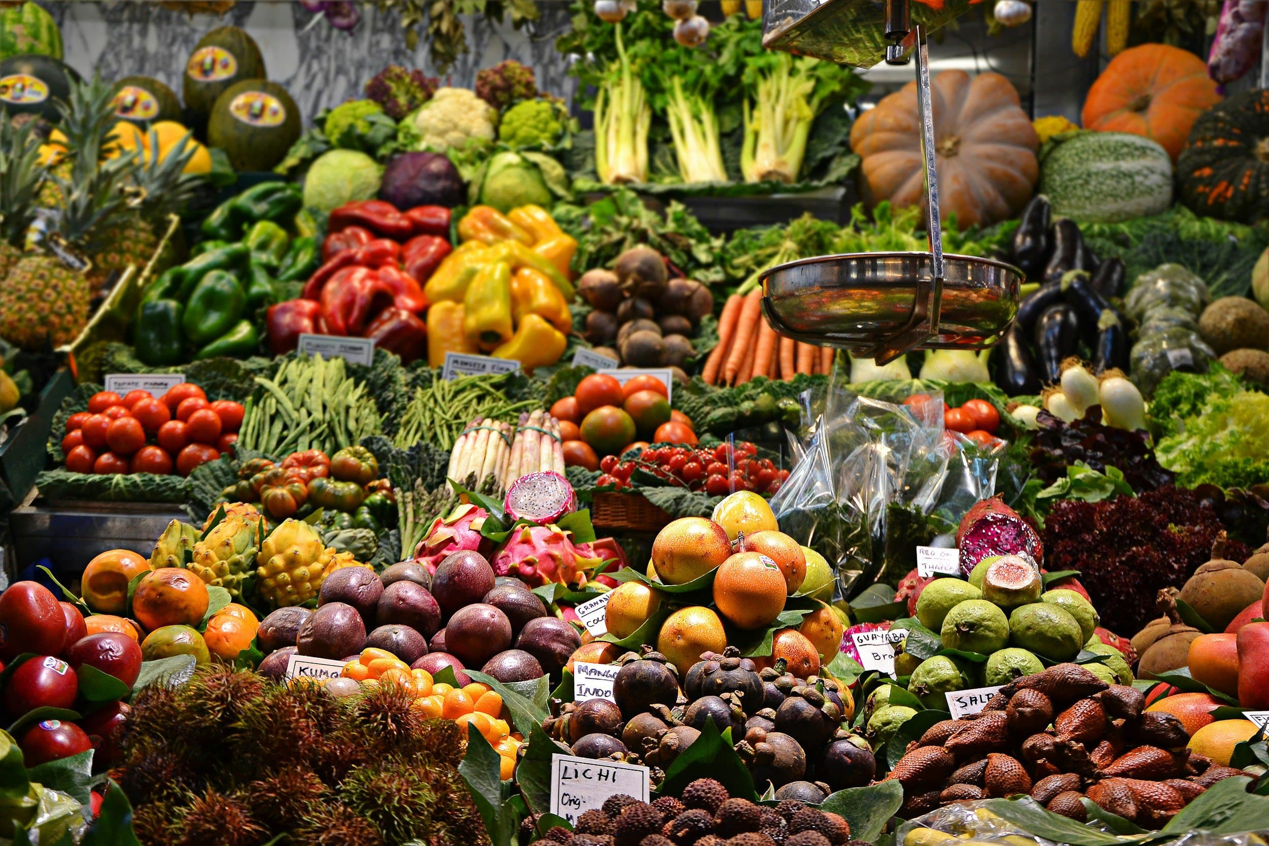 Nutrition & Lifestyle Guidance